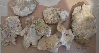 Rocas para acuario