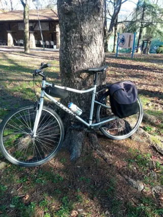 Bicicleta Decathlon.