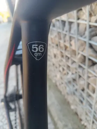 Bicicleta Specialized Tarmac SL4