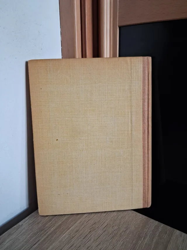 DANTE. VIDAS DE GRANDES HOMBRES