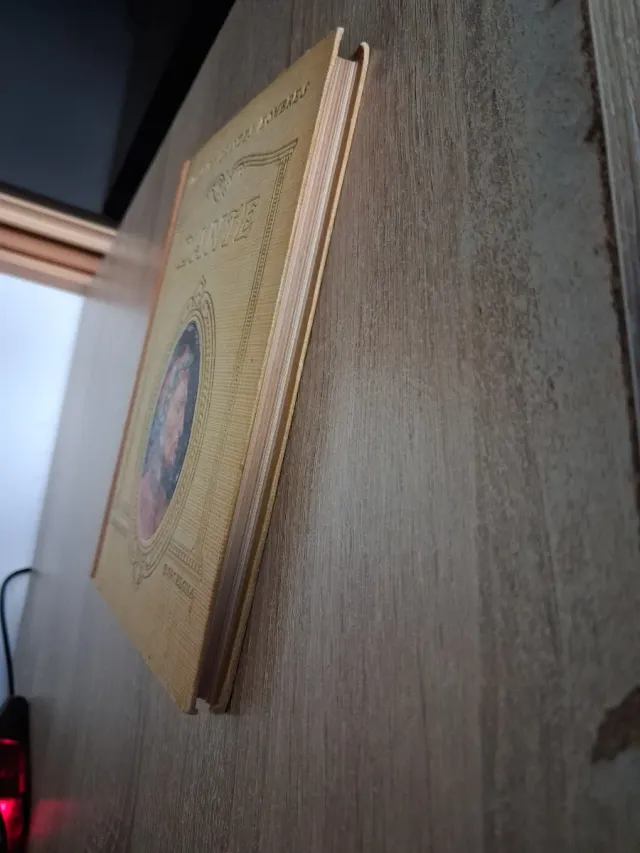 DANTE. VIDAS DE GRANDES HOMBRES