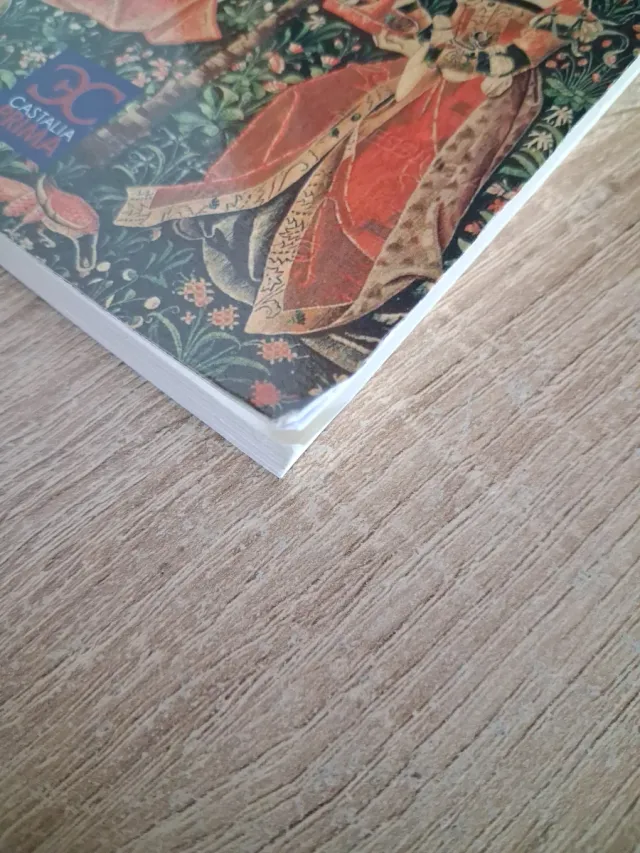 Cuentos de la Edad Media (Castalia Prima) (Span...