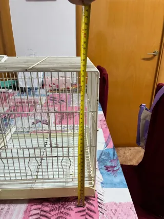 Jaula cría Pedrós 60 cm