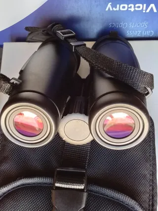Zeiss Victory 10x42 T FL Binoculares