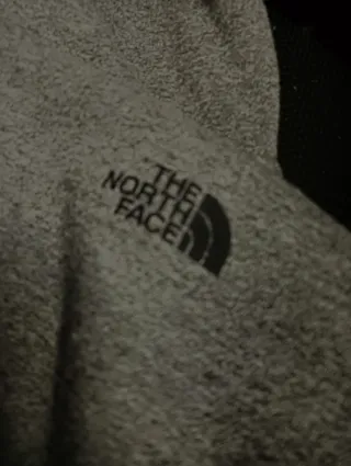 Sudadera The North Face Gris