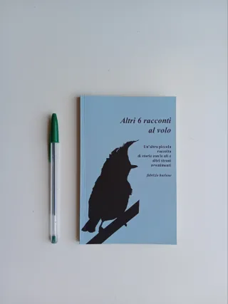 Altri 6 racconti al volo di Fabrizio Burlone