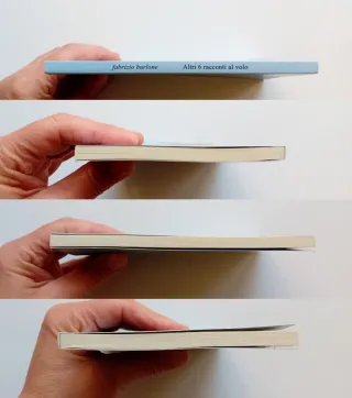 Altri 6 racconti al volo di Fabrizio Burlone