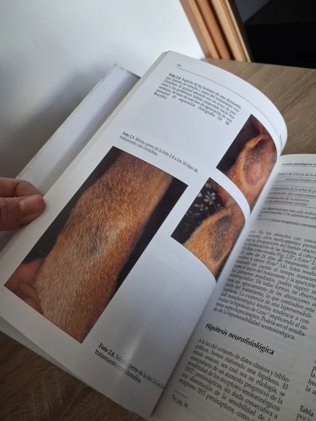 PATOLOGÍA DEL COMPKRTAMIENTK DEL PERRO