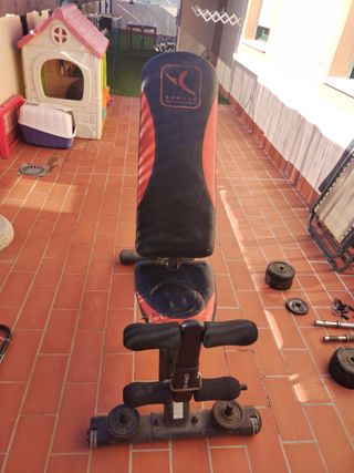 Banco de pesas ajustable