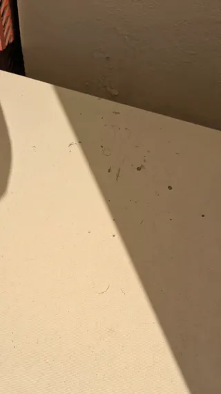 Mesa de madera extensible rosa