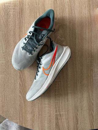 Nike pegasus