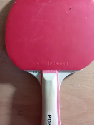 Palas de Ping Pong y Pelotas