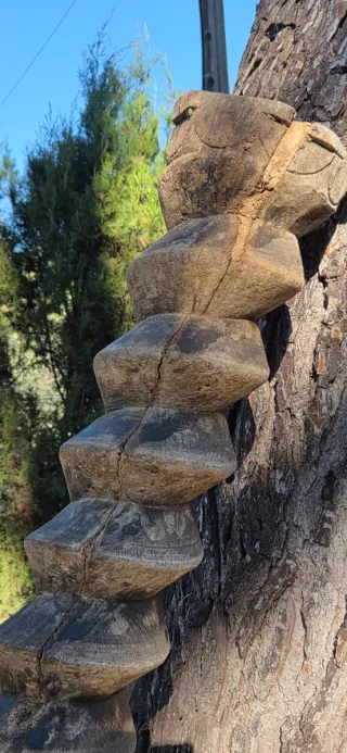 Antigua prensa tafona original