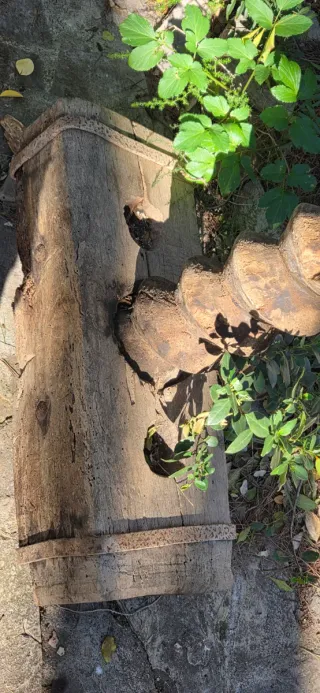 Antigua prensa tafona original