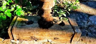 Antigua prensa tafona original