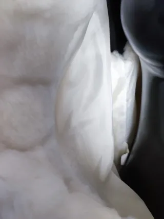 Chaleco de pelo blanco mujer talla XL