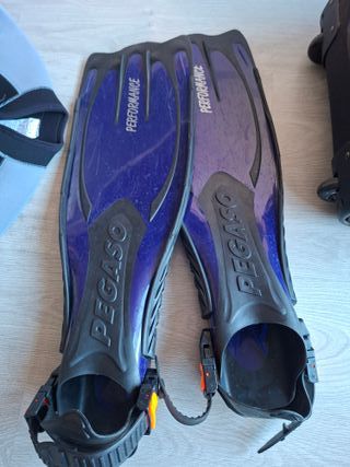 Traje de neopreno y accesorios buceo