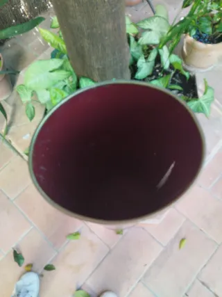 Paragüero vintage con ciervo