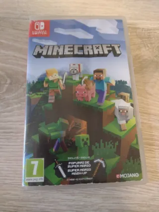 Minecraft Nintendo Switch