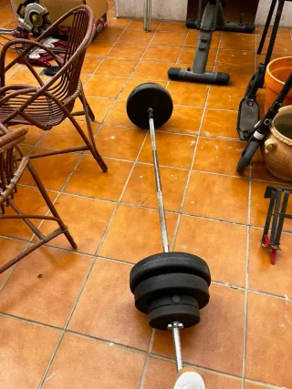 Banco de pesas + Barra + Dominadas