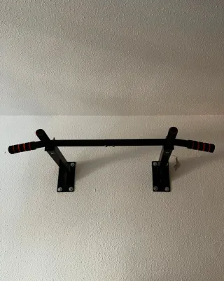 Banco de pesas + Barra + Dominadas