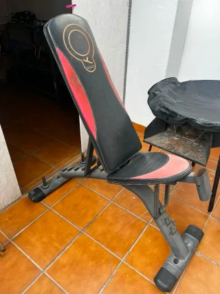 Banco de pesas + Barra + Dominadas