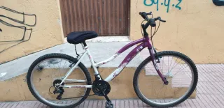 Bicicleta de montaña y bicicleta de paseo
