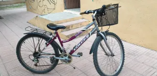 Bicicleta de montaña y bicicleta de paseo
