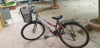 Bicicleta de montaña y bicicleta de paseo