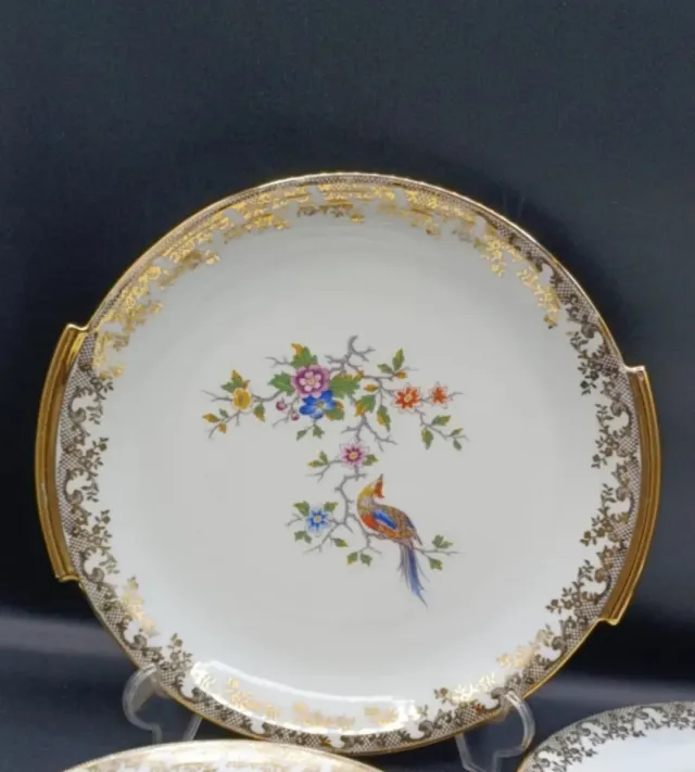 Lote vajilla Aves del Paraíso