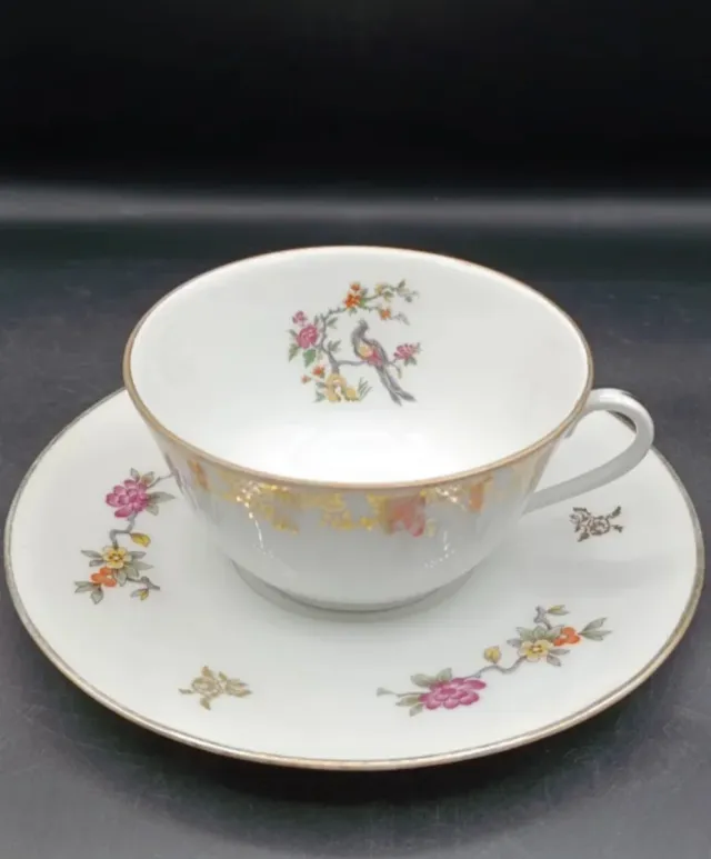 Lote vajilla Aves del Paraíso