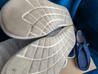 Lote Zapatos Lona Hombre