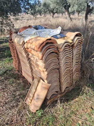 Tejas de terracota envejecida +250und