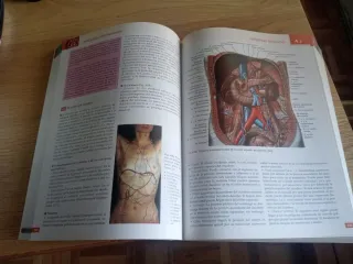 ANATOMÍA CON ORIENTACIÓN CLÍNICA