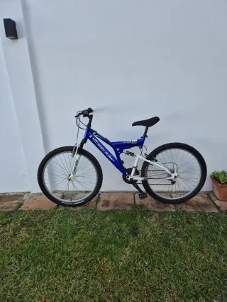Bicicleta Montaña Freerider Azul