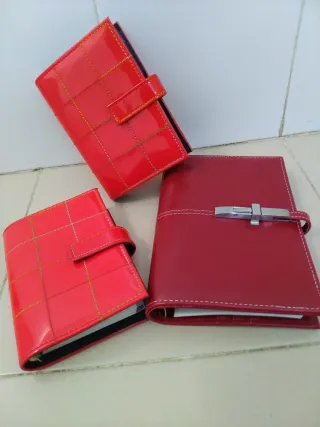 Lote 3 Agendas más otra de regalo