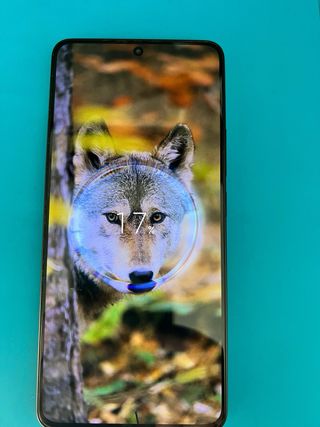 POCO F6 8/256GB Nero + Custodia Originale