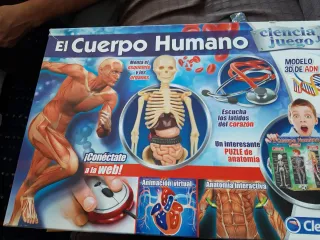 Juego Educativo El Cuerpo Humano