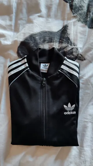 Chaqueta Adidas Negra Niño talla 11/12 años(152cm)
