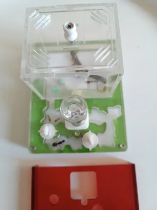 Hormiguero Anthouse Transparente y Rojo