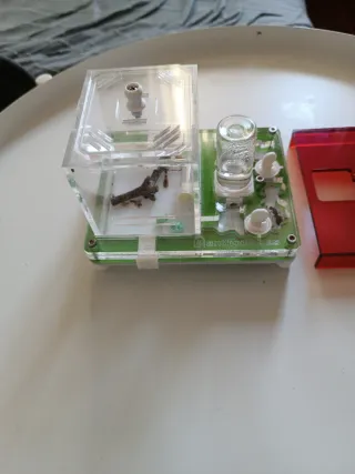 Hormiguero Anthouse Transparente y Rojo