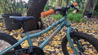 Bicicleta para niño. Scott Roxter 16 pulgadas.