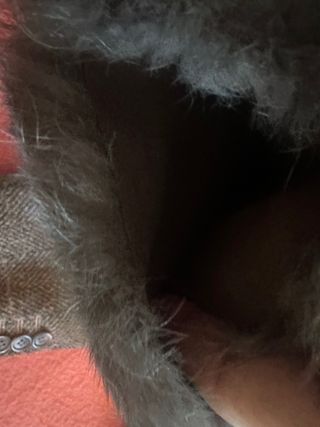 Pelliccia Lapin Grigia