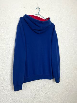 Sudadera USA Detroit Mercy Titans Capucha Talla M