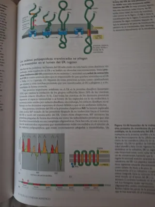 *BIOLOGIA MOLECULAR DE LA CELULA,4/ED. (CIENCIA...