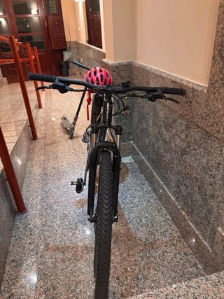 Bicicleta Giant Talon Montaña