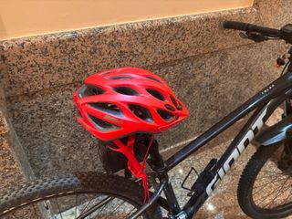 Bicicleta Giant Talon Montaña