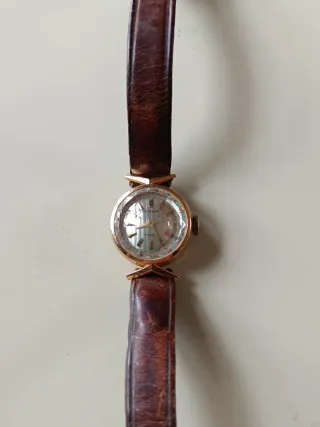 Reloj Festina Oro 18k