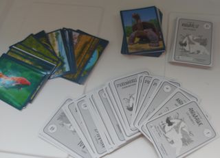 Cromos Panini Animales los Récords a 0.20centimos