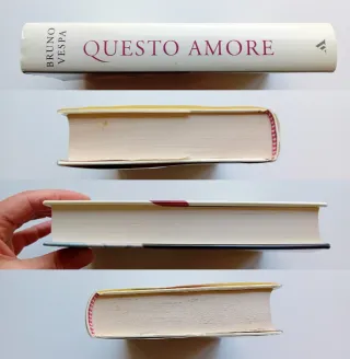 Questo amore di Bruno Vespa